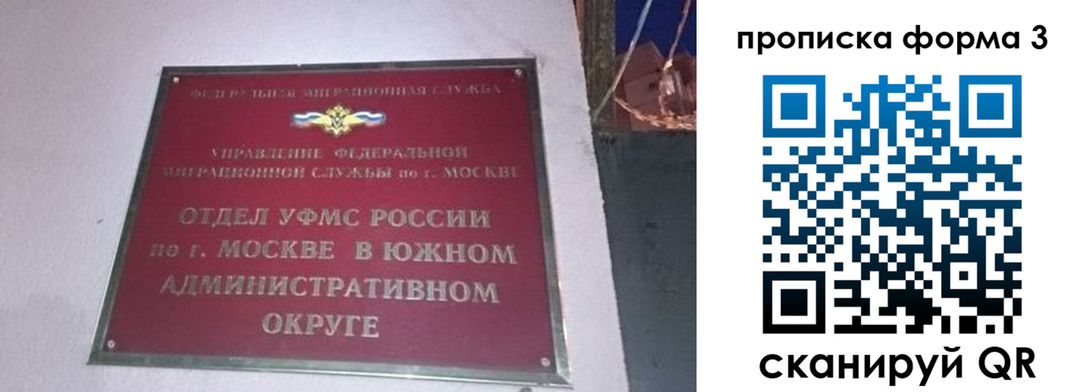 временная регистрация законно в Амурской области